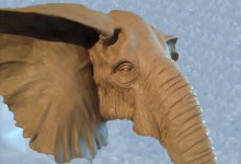 1Elephant 4